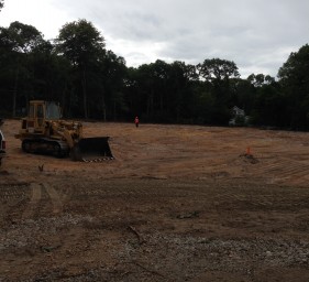 Clearing the property