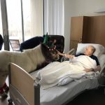 Mini Horses visit Patient at the kanas Center for Hospice Care