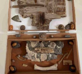 julie small gamby low res