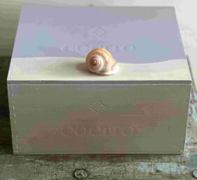 kirsten benfield low res