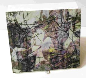 roy nicholson low res