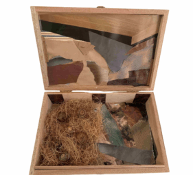 julie small gamby white background