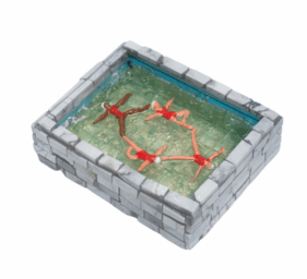 marci honerkamp white background