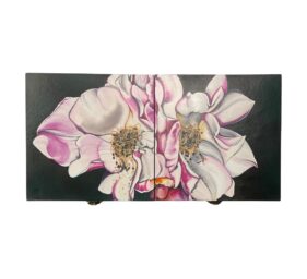 felisa dell white background (2)