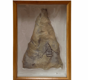 barry mccallion white background