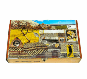 patricia feiwel white background