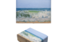 casey chalem anderson box