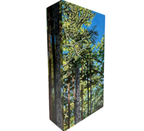 charles yoder box