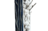donna corvi 2026 white background (1)