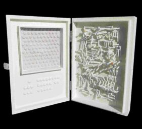 darlene charneco spacetime correspondence low res