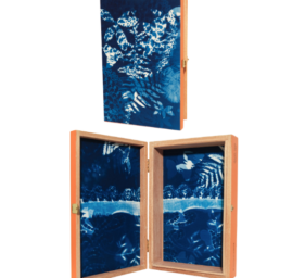 patricia maurides box